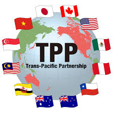【酷すぎ】TPPの協定文書などの和訳に誤り！「国有企業」を「国内企業」とするなど、分かっただけで18箇所！