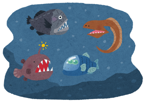 【おぉ！】駿河湾で新種の深海魚を発見！「オナガインキウオ」と命名！クサウオの一種で、東海大の研究チームが論文にまとめる！