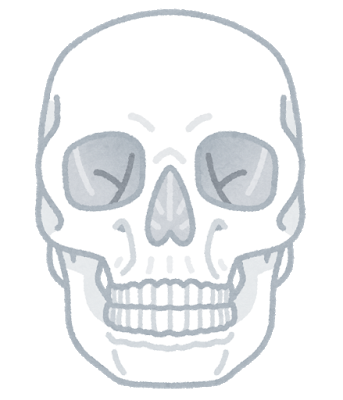 【ヒィ】鹿児島市甲南高校で教材用に使用していた頭蓋骨、本物の人骨だった！生徒が美術の授業でデッサン！市内の別の高校でも人の頭蓋骨が見つかる！