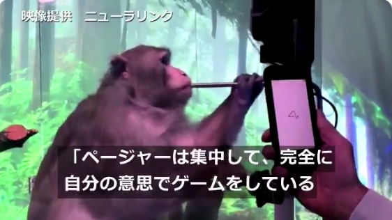 【ついにここまで】脳にチップを埋め込んだ猿が、”思念”だけでゲームをすることに成功！イーロン・マスク氏が動画を公開！人々の脳にチップをインプラントする世界がすぐそこに！