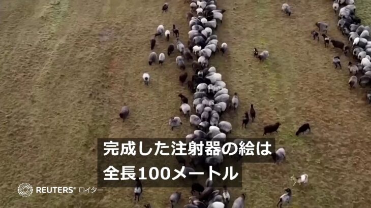 【狂ってる】ドイツで「大量の羊」を使って注射器の形を描き出すキャンペーン！新型コロナワクチン接種を呼びかけ！→ネット「よりによって羊…」「支配層からの暗黙のメッセージ」