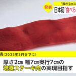 【ディストピア】日本国内で初めて「培養肉」の生成に成功！大阪万博でも「3Dプリンタ製培養肉」の提供目指す！→来たる”食糧危機”に向けて世界で「人工食物」の研究が加速！