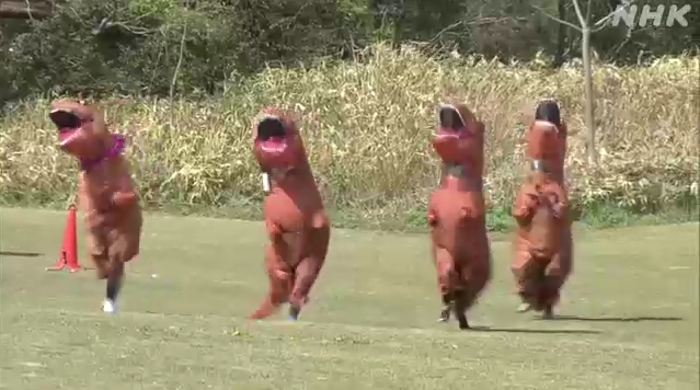 【おもろい】鳥取で恐竜の着ぐるみを着た人たちが坂を駆け上がる”謎レース”が開催！そのシュールすぎる画にネットで話題沸騰！
