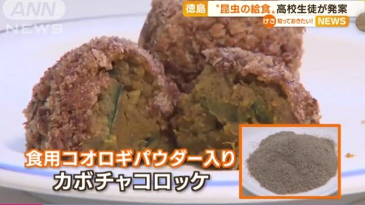 【ついに始まった】日本の給食に昆虫が初登場！「SDGs」の一環として徳島県の高校で”コオロギコロッケ”を導入！→いよいよ日本人が虫を食わされる時代に突入！