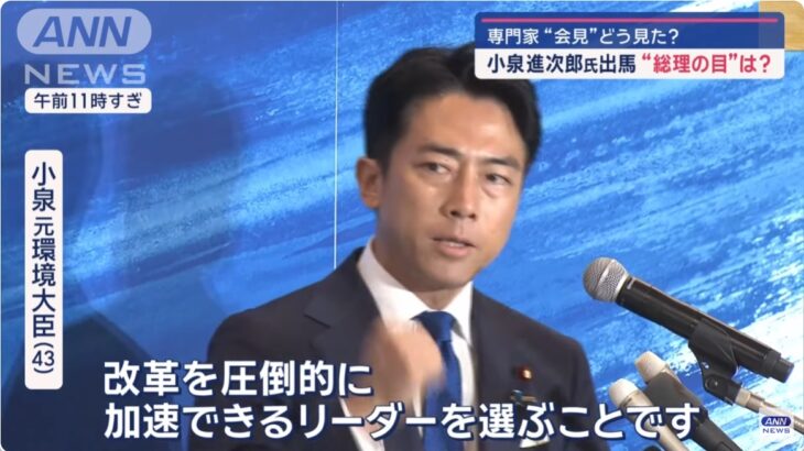 【小泉劇場再び？】進次郎氏が総理になってしまうと「日本の地獄行き」は確定！父親譲りのゴリゴリのグローバリズム（国民は死ぬまで働け）路線！先祖はヤクザで過去には過激な「人口削減思想」も！