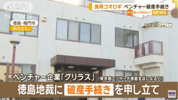 【超朗報】日本のコオロギ食の最大手、徳島のベンチャー企業「グリラス」が破産！高校の給食に「コオロギコロッケ」を提供したのを機に大炎上＆日本中の市民が昆虫食にNO！