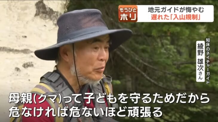 知床羅臼岳で人間を襲い母子3頭とも射殺されたヒグマ、温厚な性格で知られる「岩尾別の母」だった！登山客が単独で走って下山中に鉢合わせし、子を守るために襲われた可能性！