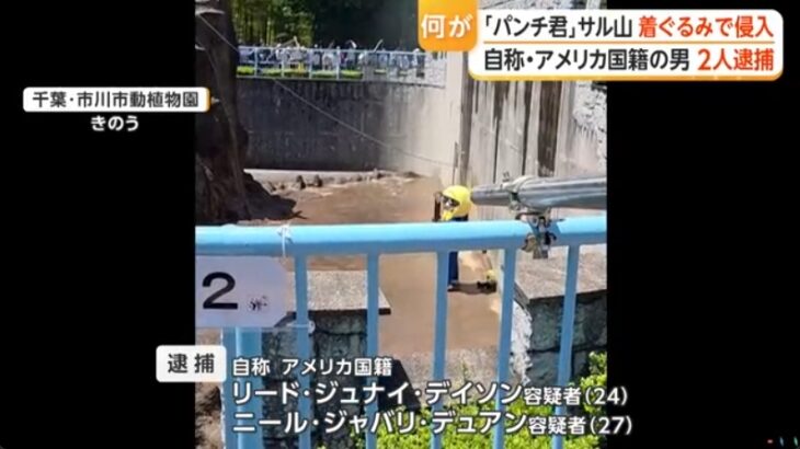 【日本を舐めるな】千葉・市川市動植物園に外国人2人がサル山に侵入し迷惑パフォーマンス！米国人2人を現行犯逮捕！→ネット「恐怖におびえているお猿さん可哀そう」「二度と日本に来るな」